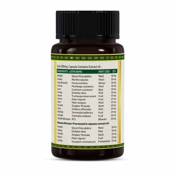 Jeena Sikho Amalpit Nashak | Digestive Wellness Herbal Supplements | 60 Capsules