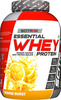 Scitron Essential Whey Protein (24G Protein, 5G Bcaas, 62.5 Servings, Post-Workout)|Orange Burst|2Kg