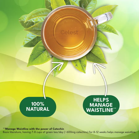 Celest Green Tea 100 Bags - Ginger | Mint & Lemon