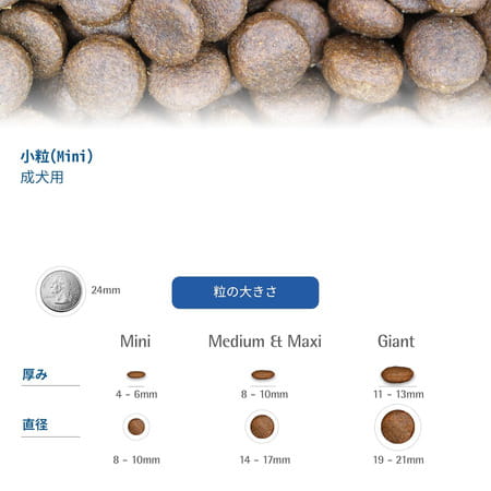 Farmina N&D Pet Foods Pumpkin Dry Dog Pet Food | Adult Mini Breed | 2.5-Kg | Lamb And Blueberry