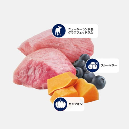 Farmina N&D Pet Foods Pumpkin Dry Dog Pet Food | Adult Mini Breed | 2.5-Kg | Lamb And Blueberry