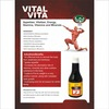 Smw's Health Tonic & Appetizer Vital Vita Multi Vitamin & Multi Mineral (Ashwgandha Based) 300 Ml