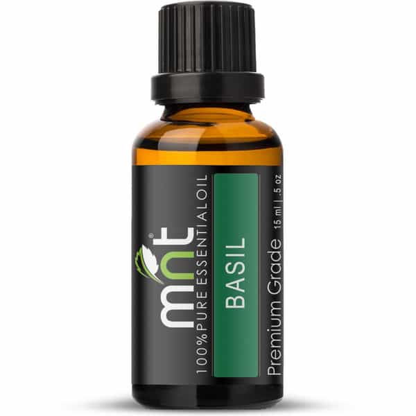 Mnt Basil (Tulsi) Essential Oil (15Ml) 100% Pure Natural Therapeutic Grade For Aromatherapy (15 Ml)