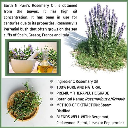 Earth N Pure Essential Oil Rosemary 30 (30 Ml)