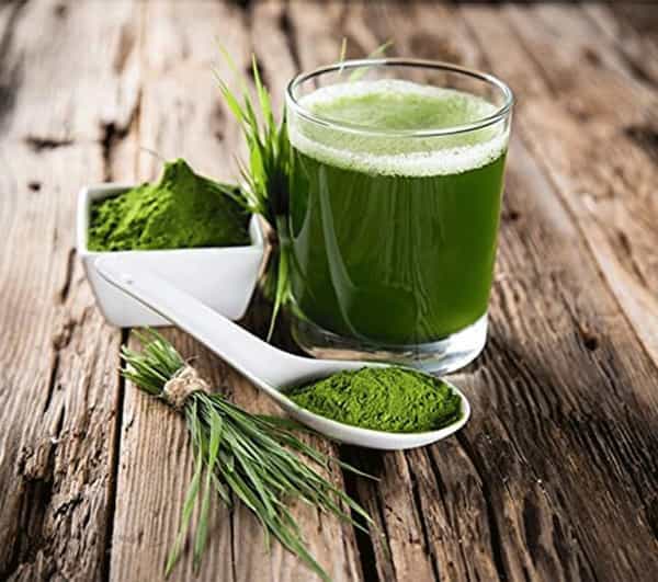 Grazing Meadows Wheatgrass 500Gms Powder (Pack Of 5)