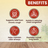Baidyanath Chitrak Haritaki - 60Gm | Helps In Cough | Bronchitis And Loss Of Appetite