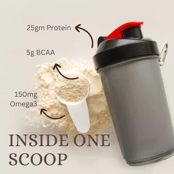 Pure Nutrition Vegan Protein Berry Blast Powder 500Gm