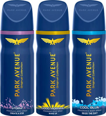 Buy PARK AVENUE SIGNATURE ALTER EGO DEODORANT PERFUME FOR MEN