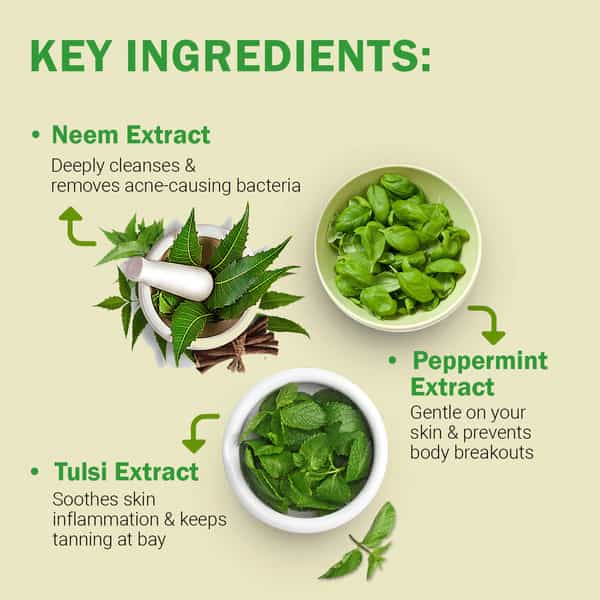 Roots & Stems Neem Anti Acne Facial Scrub For Blackheads Removal Anti-Acne & Pimples 500Gm