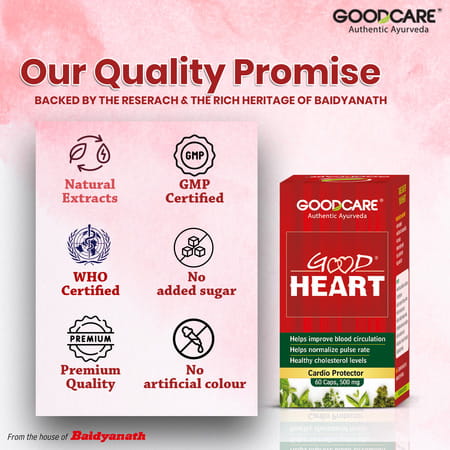 Goodcare Good Heart - 60No's