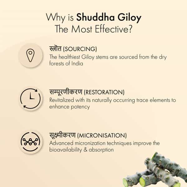 Dr. Vaidya's Shuddha Guduchi Tablet 60S P1(Giloy)