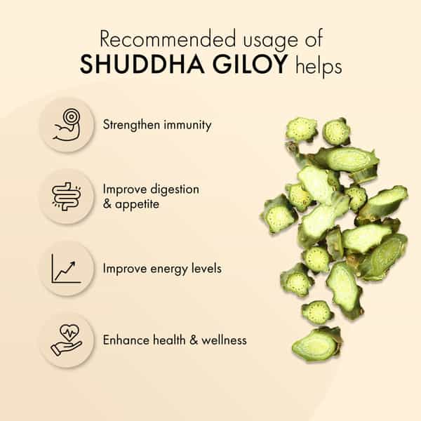 Dr. Vaidya's Shuddha Guduchi Tablet 60S P1(Giloy)