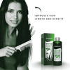 Mool Hair Grow Oil For Hair Fall Control And Hair Growth And Thickness For Men & Women (50 Ml)
