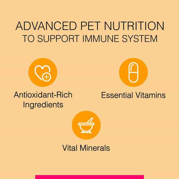 Canine Creek Club Ultra Premium Dry Dog Food For All Life Stages | 10Kg Pack
