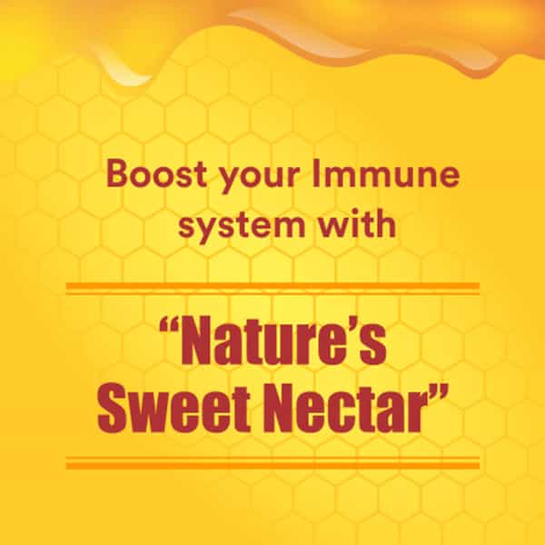 Baidyanath Asli Ayurved Honey Natural Immunity Booster 1 Kg