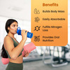 Cratus Protosure Hp Mass Gainer For Diabetics Helps Build Body Mass High Protein Nutrition
