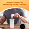 Cratus Protosure Hp Mass Gainer For Diabetics Helps Build Body Mass High Protein Nutrition