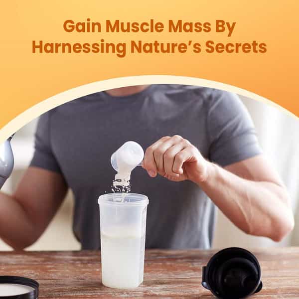 Cratus Protosure Hp Mass Gainer For Diabetics Helps Build Body Mass High Protein Nutrition