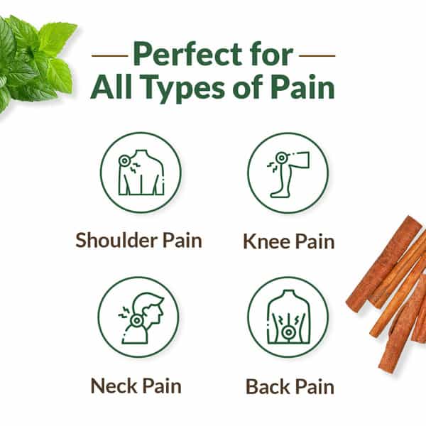 My Dr.pain Relief Spray Instant Relief From Back | Knee | Neck | Shoulder | Muscle 50G Pack Of 2
