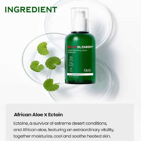 Dr.g R.e.d Blemish Clear Soothing Active Essence - Targeted Skincare Solution - 80Ml