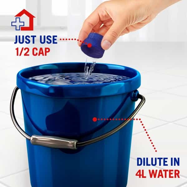 Lizol Double Concentrate Disinfectant Surface Cleaner ( Citrus ) - 900Ml