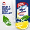 Lizol Double Concentrate Disinfectant Surface Cleaner ( Citrus ) - 900Ml