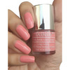 Debelle Gel Nail Polish Gift Set Of 2 Antares | Decarnation- 16 Ml (8 Ml Each)