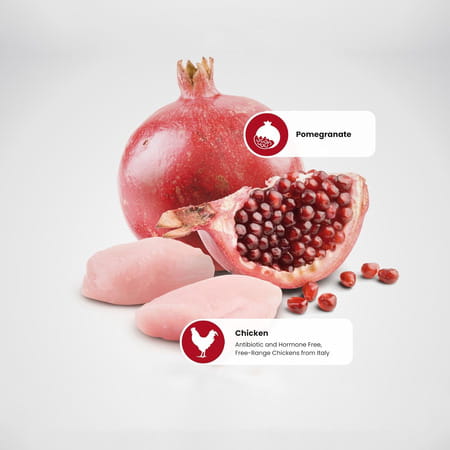 Farmina N&D Prime Kitten Food | Grain-Free | Chicken & Pomegranate | 5kg