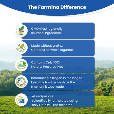 Farmina N&D Prime Kitten Food | Grain-Free | Chicken & Pomegranate | 5kg