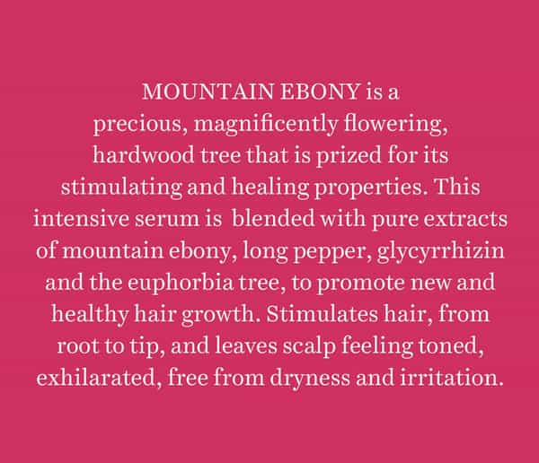 Biotique Bio Mountain Ebony Vitalizing Serum For Falling Hair - 120 Ml