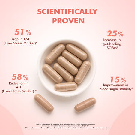 Dr. Morepen Milk Thistle+ | Lever Detox With Extract | Capsules | 60 No'S