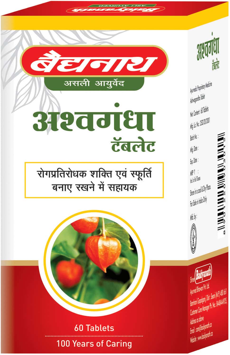 Buy BAIDYANATH NAGPUR ASHWAGANDHA TABLET IMMUNITY BOOSTER ANTIOXIDANT