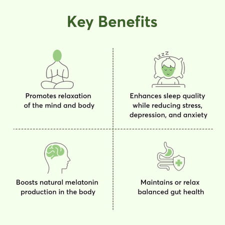 Bug Buddy Peaceful Calm | Non-Habit Forming | For Restful Sleep/Stress Relief | 30 Days Pack