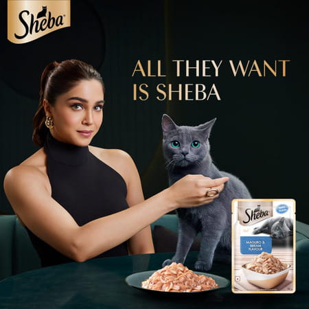 Sheba Rich Premium Adult (1+ Years) Wet Cat Food | Maguro & Bream Flavour | 12 X 35 G