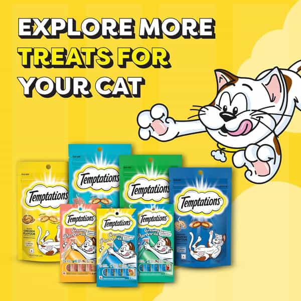 Temptations Creamy Purrrrr Ee Lickable Cat Treats | Salmon & Cheese Flavour | 24 X 48 G