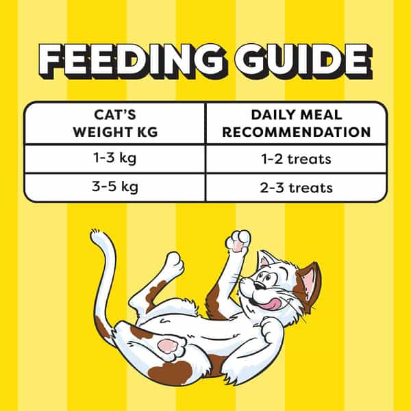 Temptations Creamy Purrrrr Ee Lickable Cat Treats | Salmon & Cheese Flavour | 24 X 48 G
