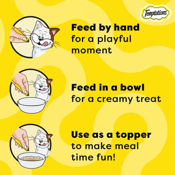 Temptations Creamy Purrrrr Ee Lickable Cat Treats | Salmon & Cheese Flavour | 24 X 48 G