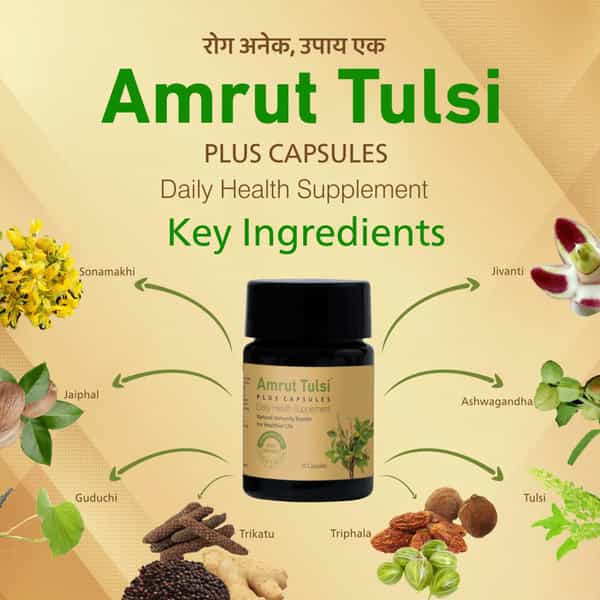 Amrut Tulsi Plus Capsules 10 Capsules (Pack Of 3)