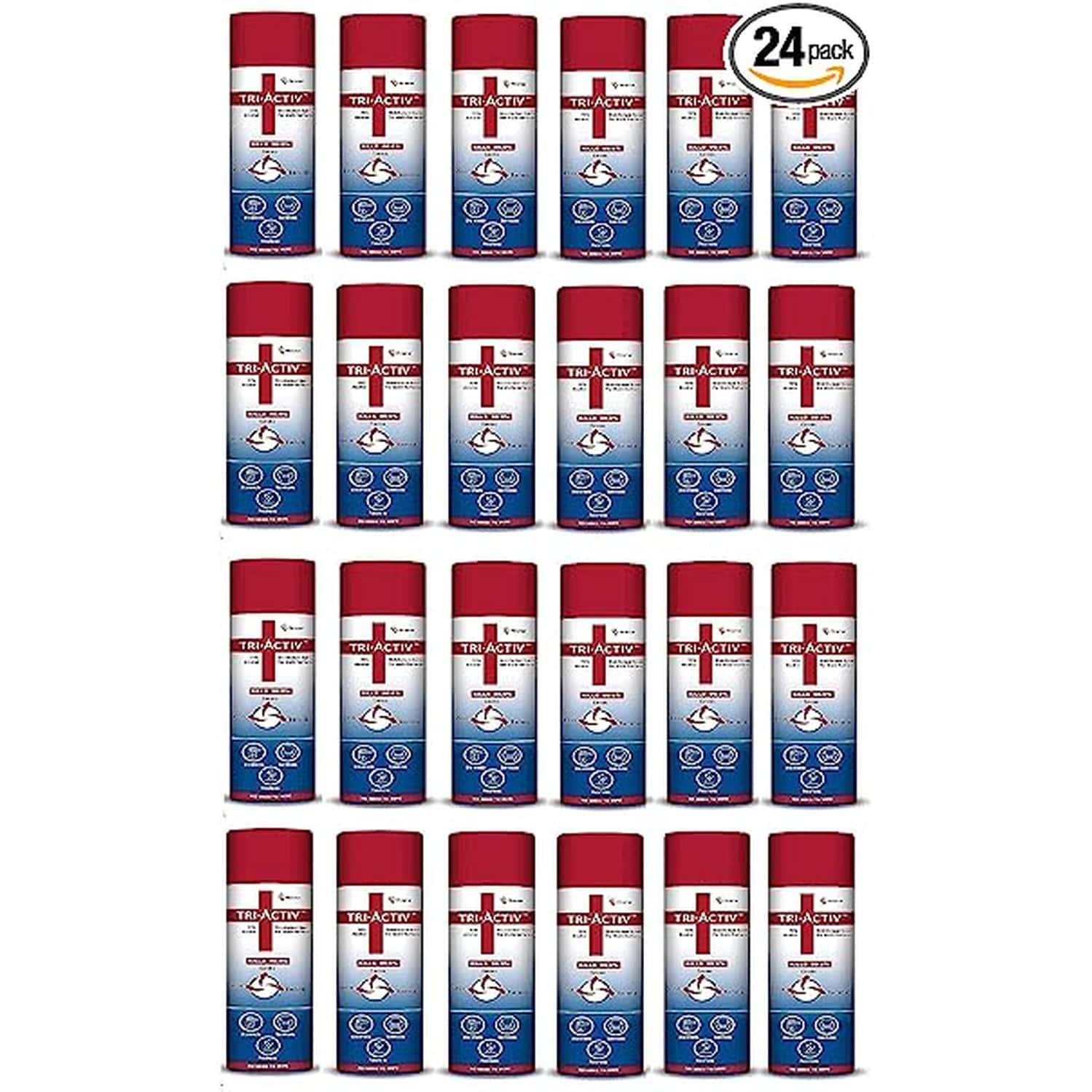 Triactiv Disinfectant Spray 500 Ml - Pack Of 24 (12000 Ml)