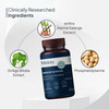 Miduty Memory & Focus - Bacopa Monnieri - Ginkgo Biloba - Brain Health -Caffeine Free - 60 Capsule