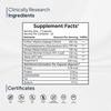 Miduty Memory & Focus - Bacopa Monnieri - Ginkgo Biloba - Brain Health -Caffeine Free - 60 Capsule
