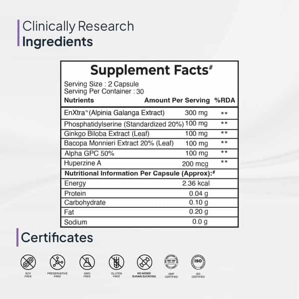 Miduty Memory & Focus - Bacopa Monnieri - Ginkgo Biloba - Brain Health -Caffeine Free - 60 Capsule