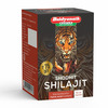 Baidyanath Asli Ayurved Shodhit Shilajit 50 Capsules | Ayurvedic Supplement For Men
