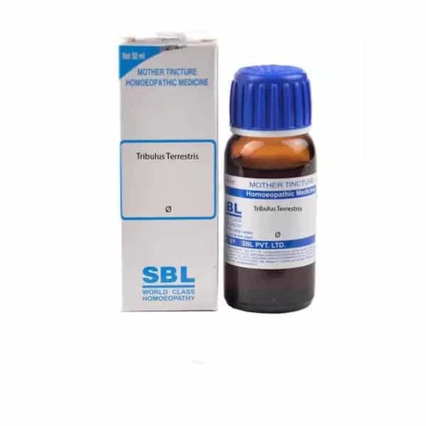 Sbl Tribulus Terrestris 30 Ml Mother Tincture Q
