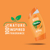 Radox Shower Gel Feel Revived Lemongrass & Mandarin - 250ml