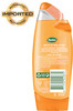 Radox Shower Gel Feel Revived Lemongrass & Mandarin - 250ml