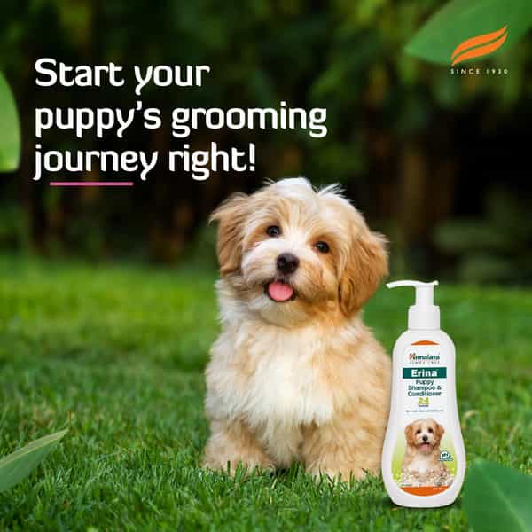 Himalaya Erina Shampoo & Conditioner For Puppies 200 Ml