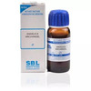Sbl Angelica Archangelica Mother Tincture Q 30 Ml Pack Of 2