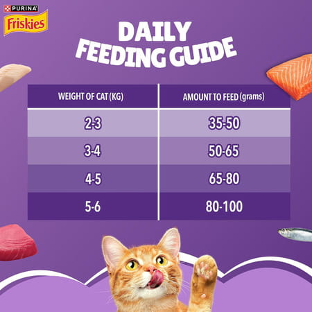 Purina Friskies Surfin' Favourites Adult Dry Cat Food | 6Kg