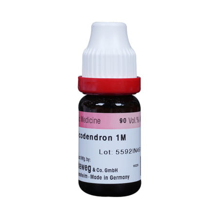 Dr. Reckeweg Rhus Toxicodendron 1m (1000 Ch) (11ml)